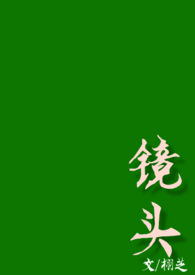 家庭小院花坛有几种造型