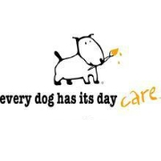 Every Dog Has Its Day Care