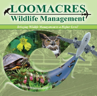 Loomacres Wildlife Management